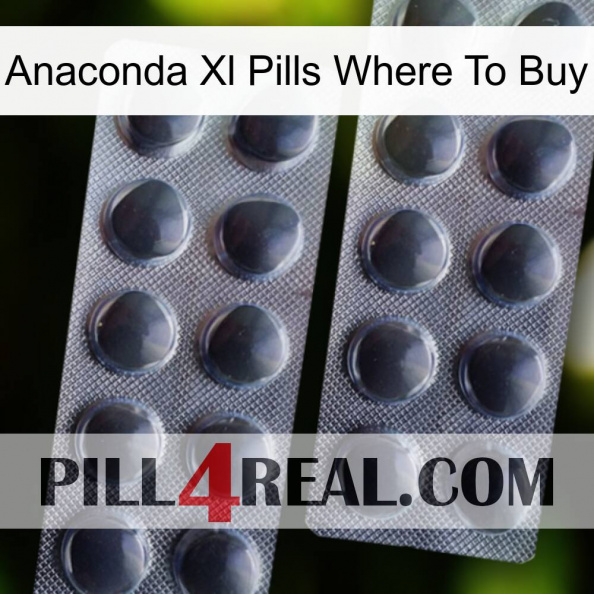 Anaconda Xl Pills Where To Buy 31.jpg